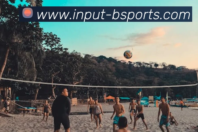 B体育平台生态图