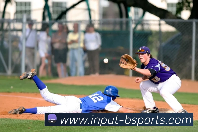 B体育APP 封面图